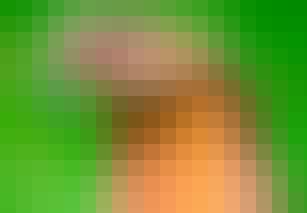 De 12 gevaarlijkste dieren voor de mens Slang