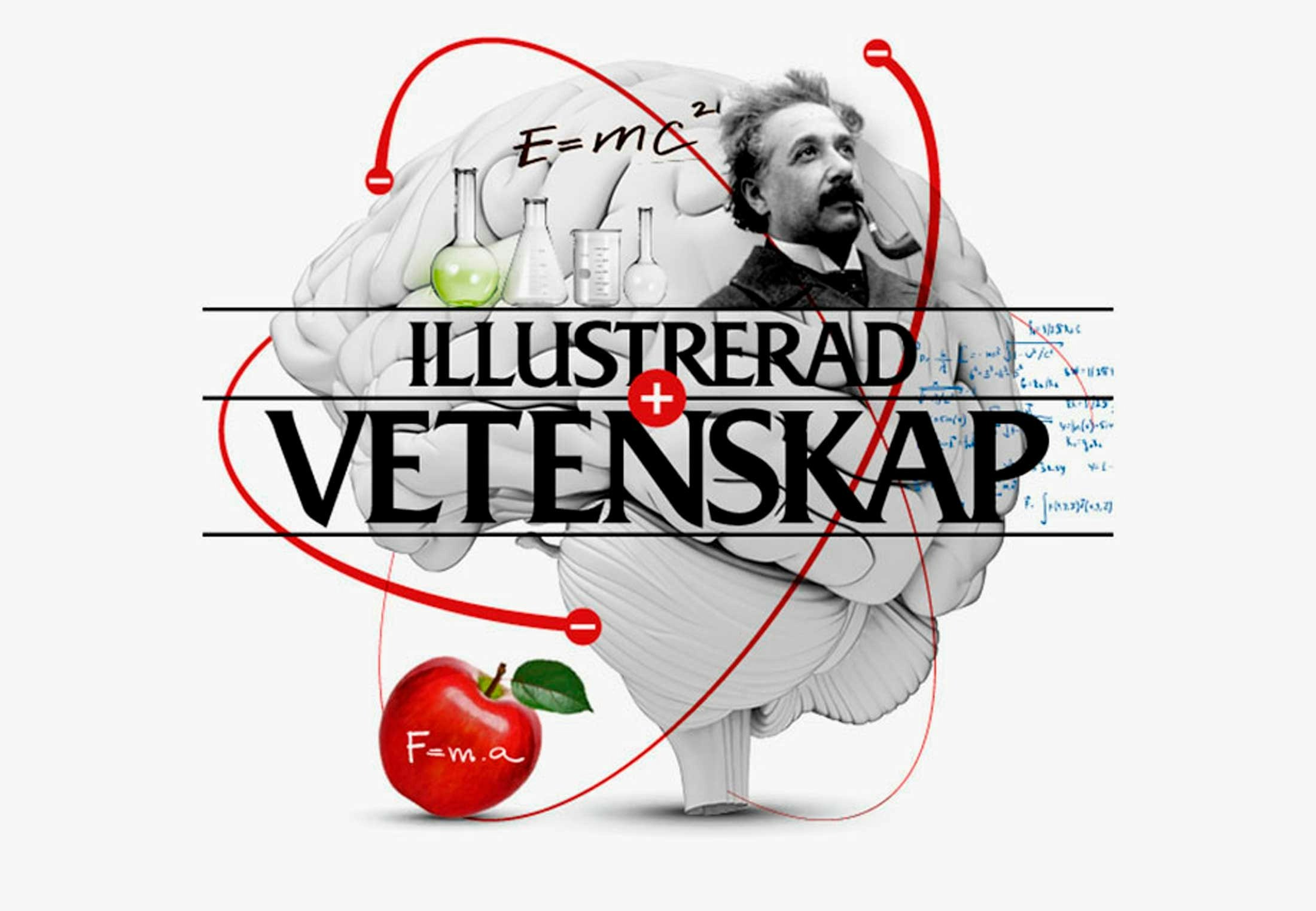 Iq Test Illustrerad Vetenskap Gratis