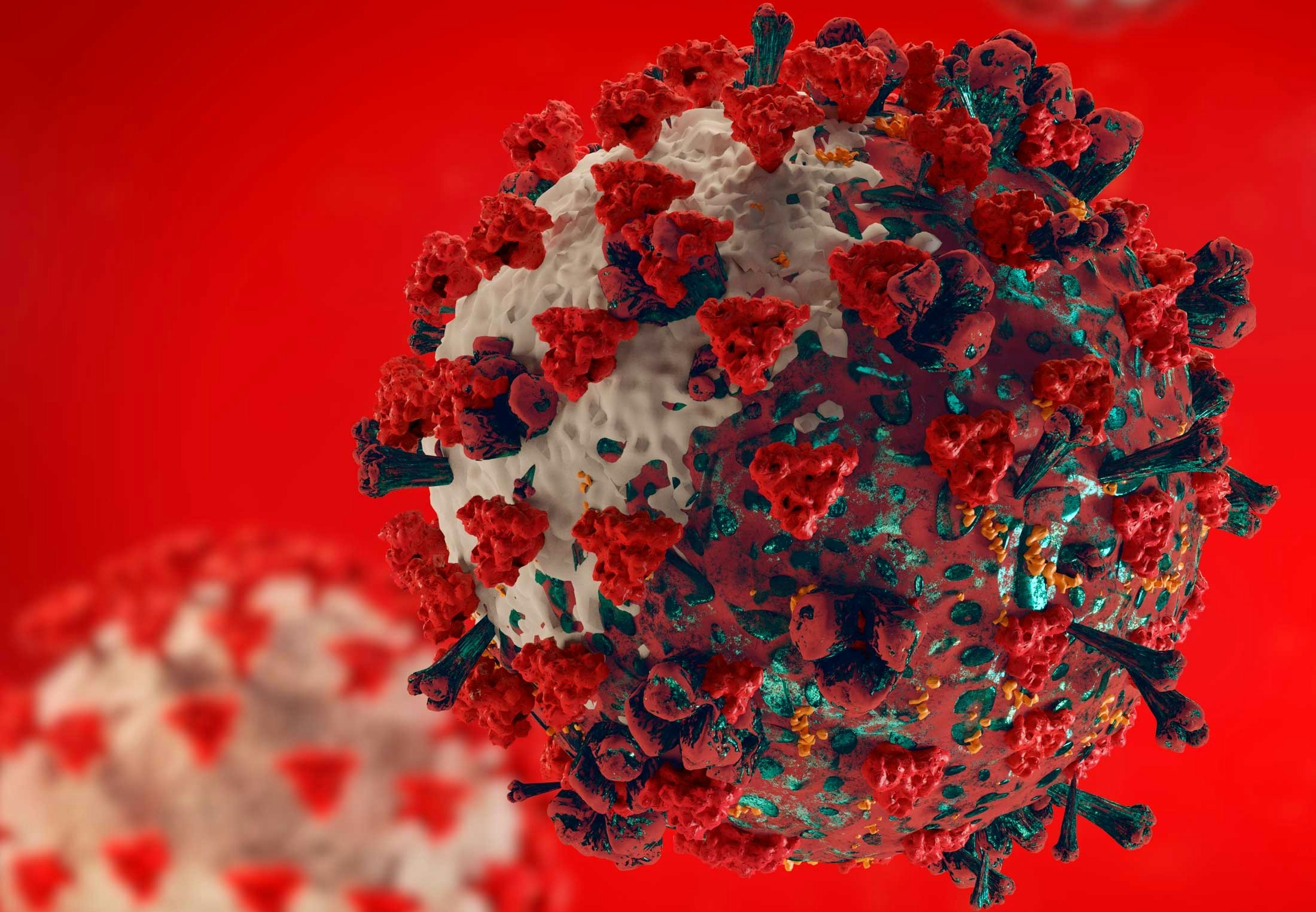 ковид коронавирус омикрон. современные вирусы. омикрон коронавирус. вирус сейчас. новый вирус сегодня.