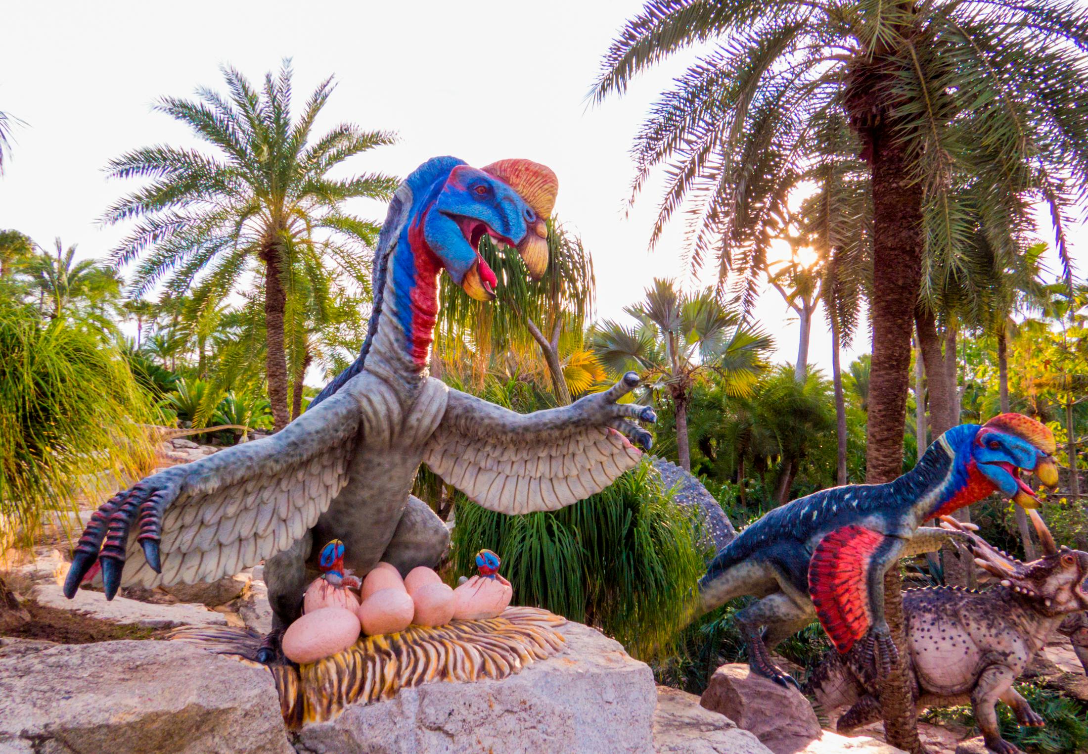 Dinosauriërs broedden hun eieren uit zoals vogels nu | wibnet.nl