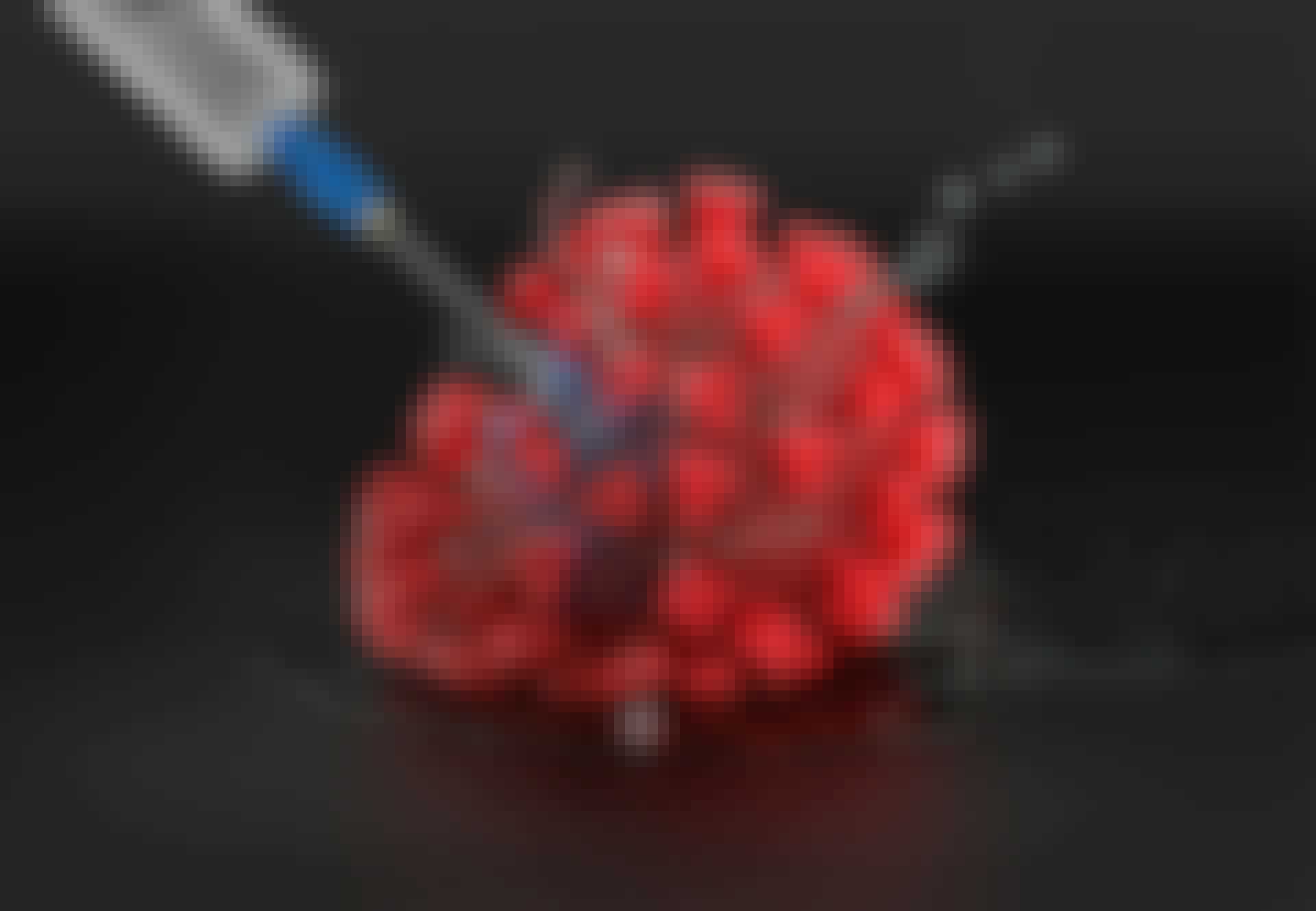 Vaccine nedkæmper corona-virus Vaccine nedkæmper corona-virus