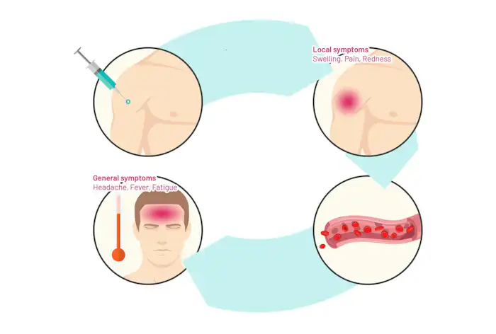 Forklaringen på hvorfor vacciner giver bivirkninger.