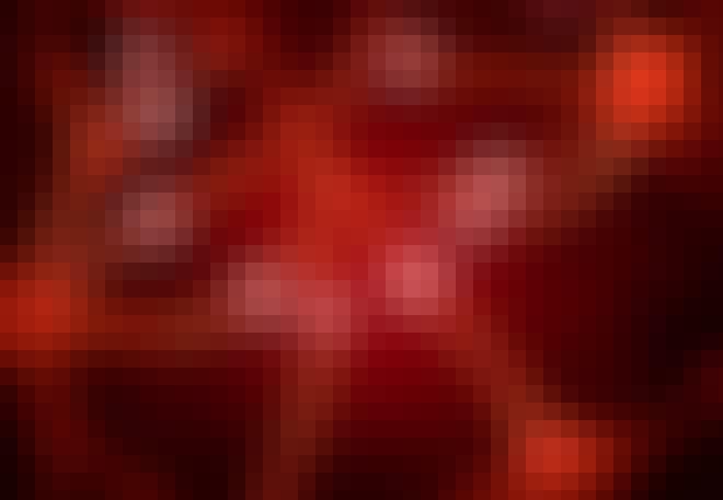 Synapsbildning Synapsbildning