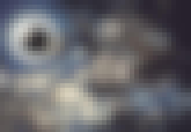 Totale zonsverduistering Totale zonsverduistering