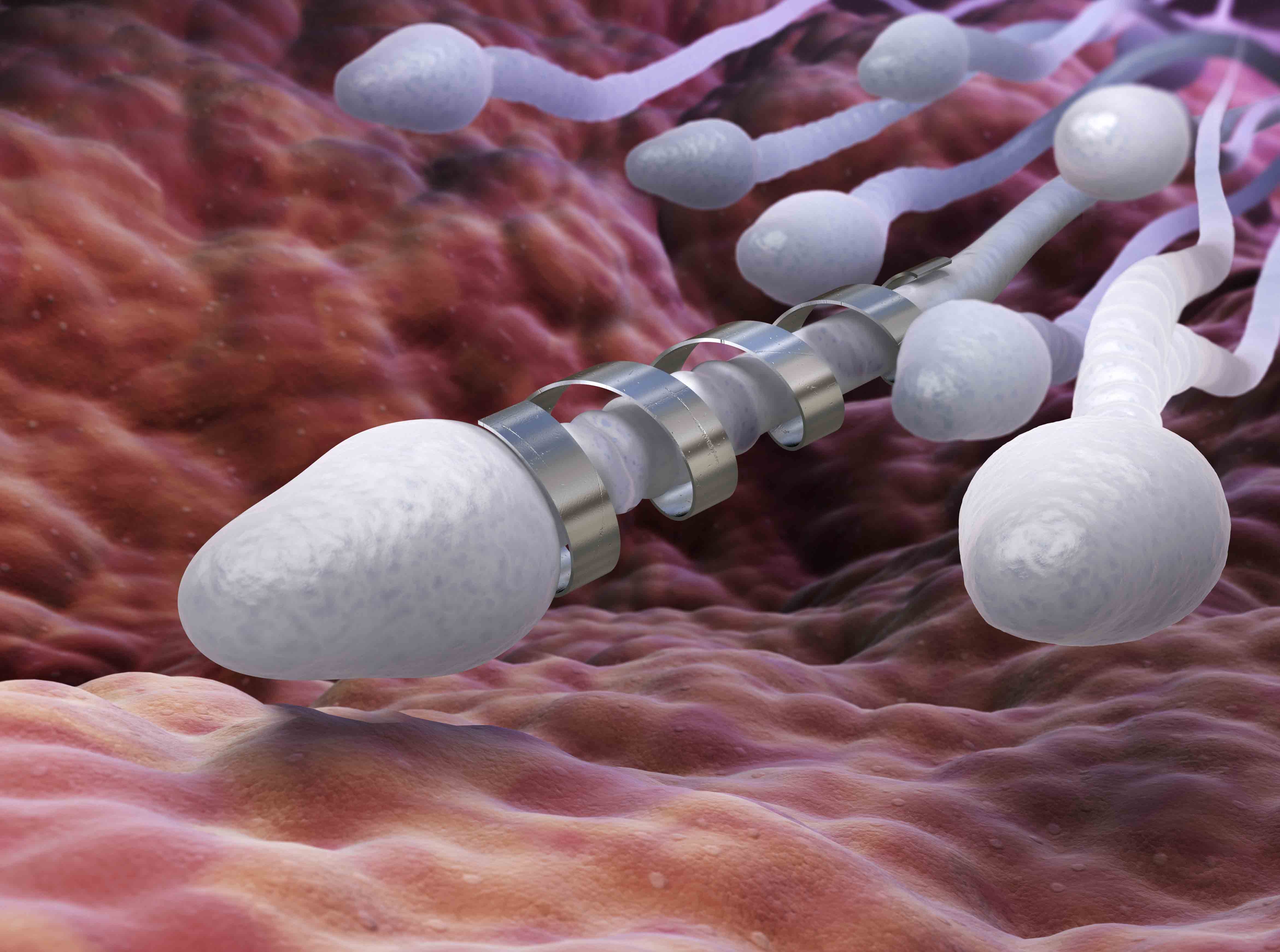 Alina Kukushkina porno