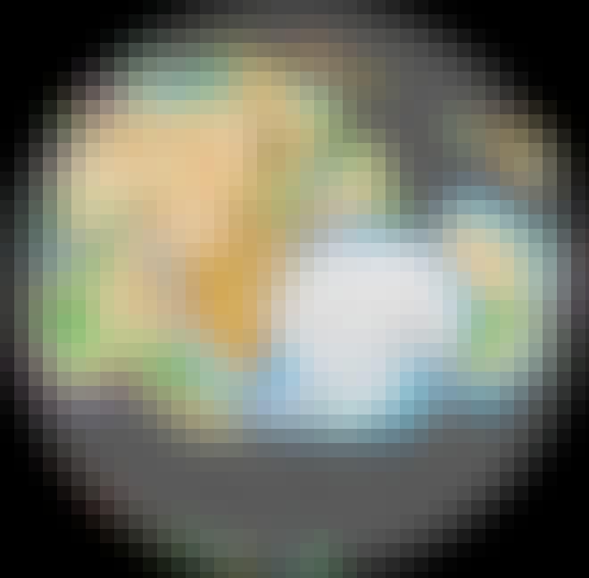 Gondwana, Gondwanaland, kort, kontinenter, edderkopper Gondwana, Gondwanaland, kort, kontinenter, edderkopper