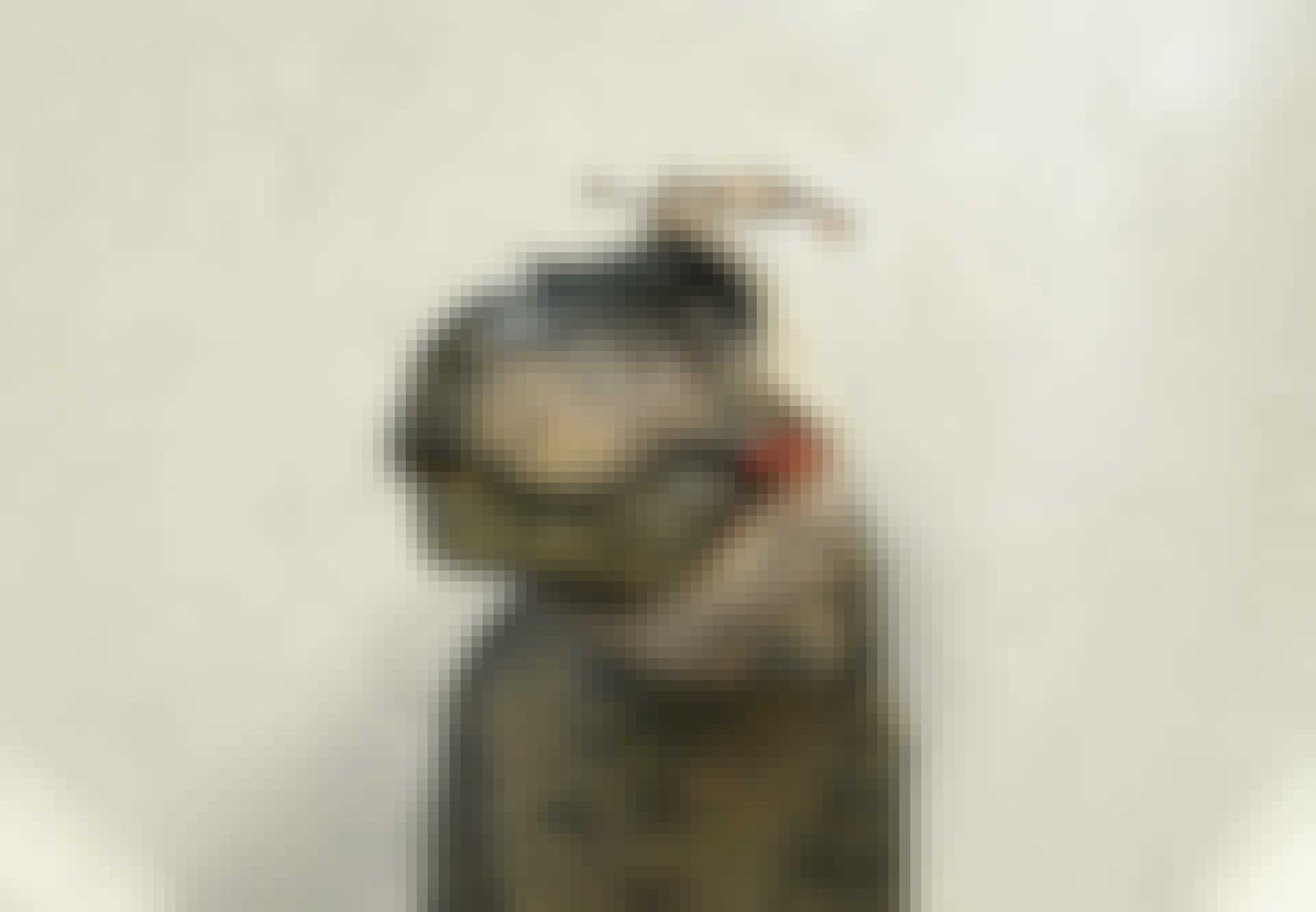 Sjuka dinosaurier Tyrannosaurus rex tandvärk Sjuka dinosaurier Tyrannosaurus rex tandvärk