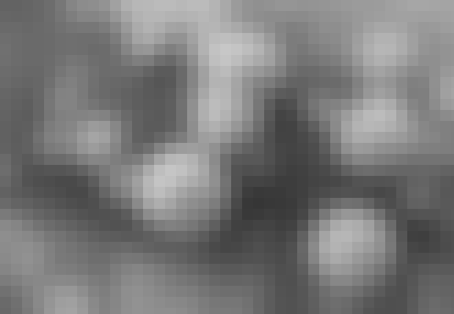 Svampliknande stenar på Mars Svampliknande stenar på Mars