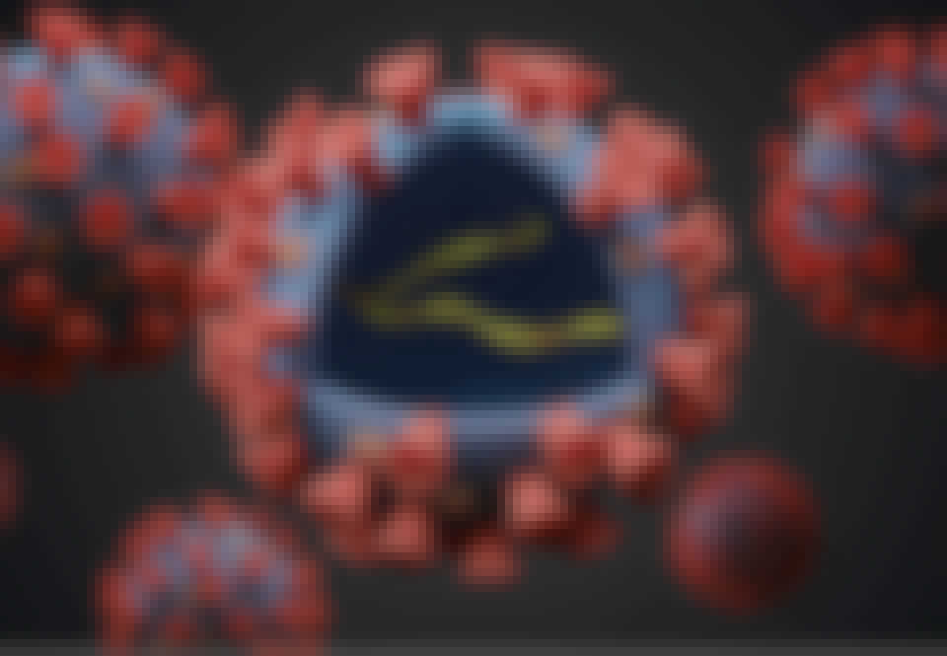 Rna:ta viruksen sisällä Rna:ta viruksen sisällä