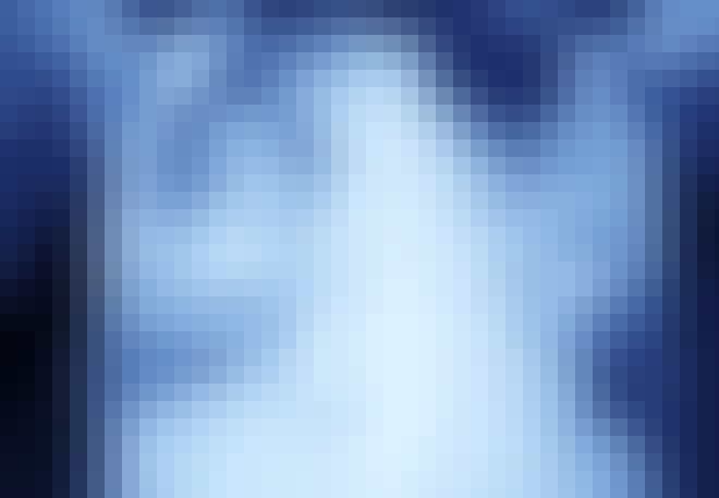 Schimmelziekte Aspergillosis Schimmelziekte Aspergillosis