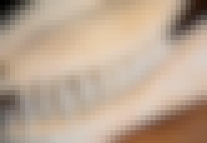 Späckhuggarkranium med tänder Späckhuggarkranium med tänder
