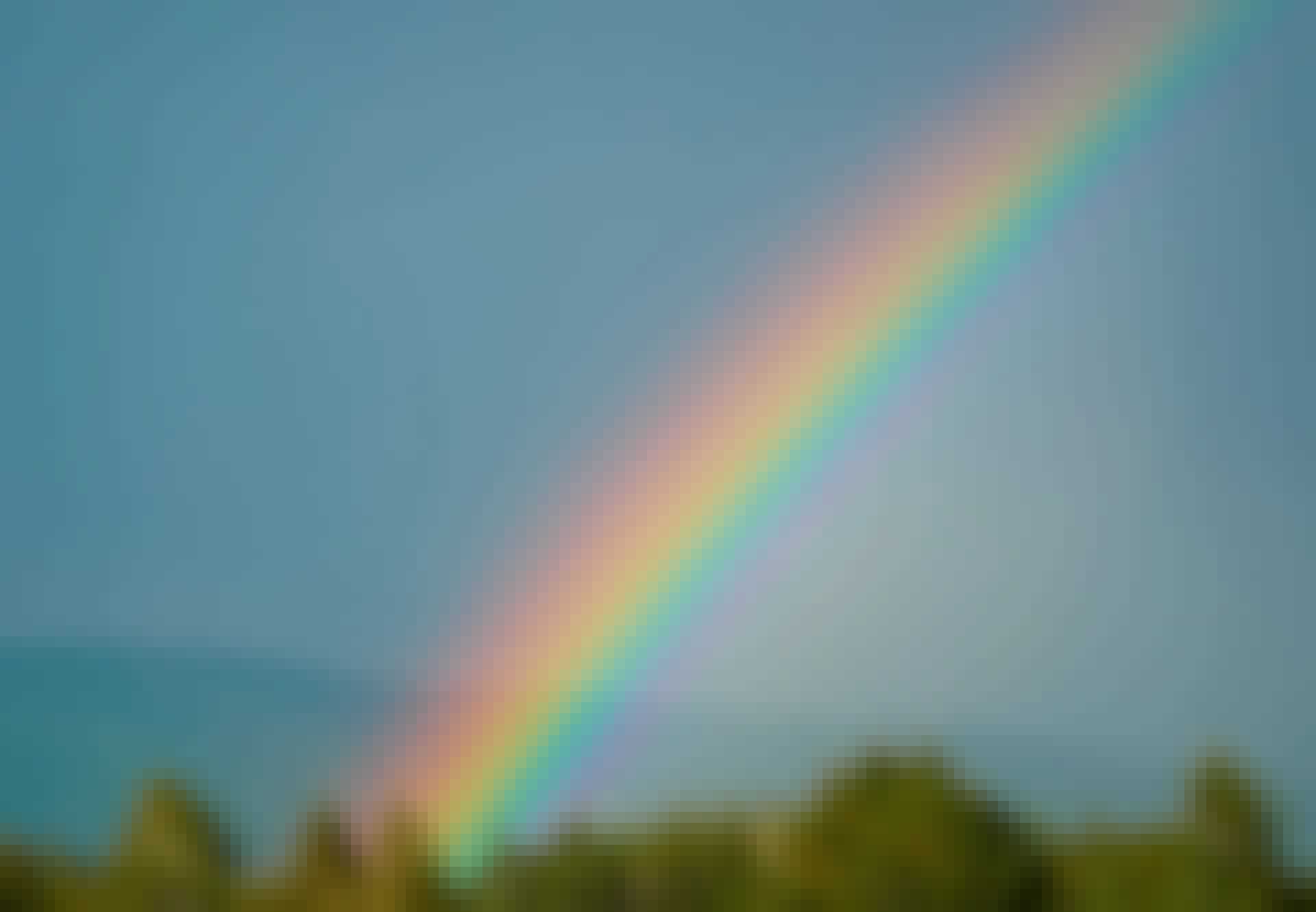 Regenboog Regenboog
