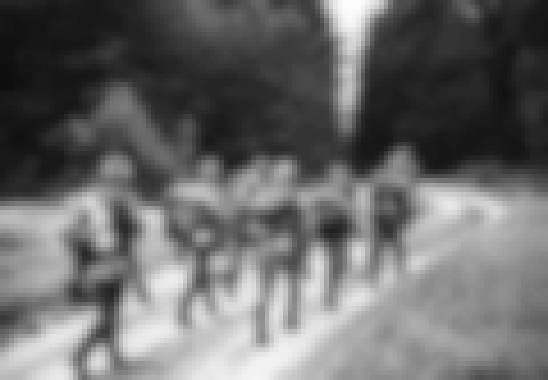 Tyske-soldater Saksalaiset sotilaat marssivat metsässä