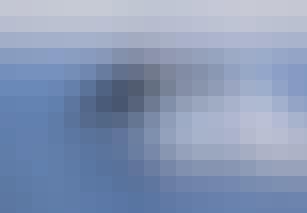 orka Orka springt uit zee.