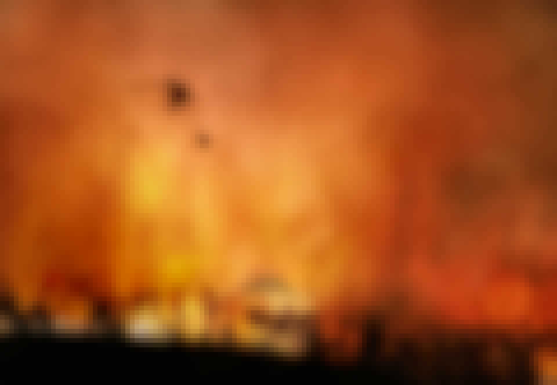 Helikopter blust bosbrand Helikopter blust bosbrand