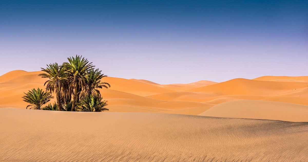 Oaser på Arabiska halvön lockade människan ur Afrika | illvet.se