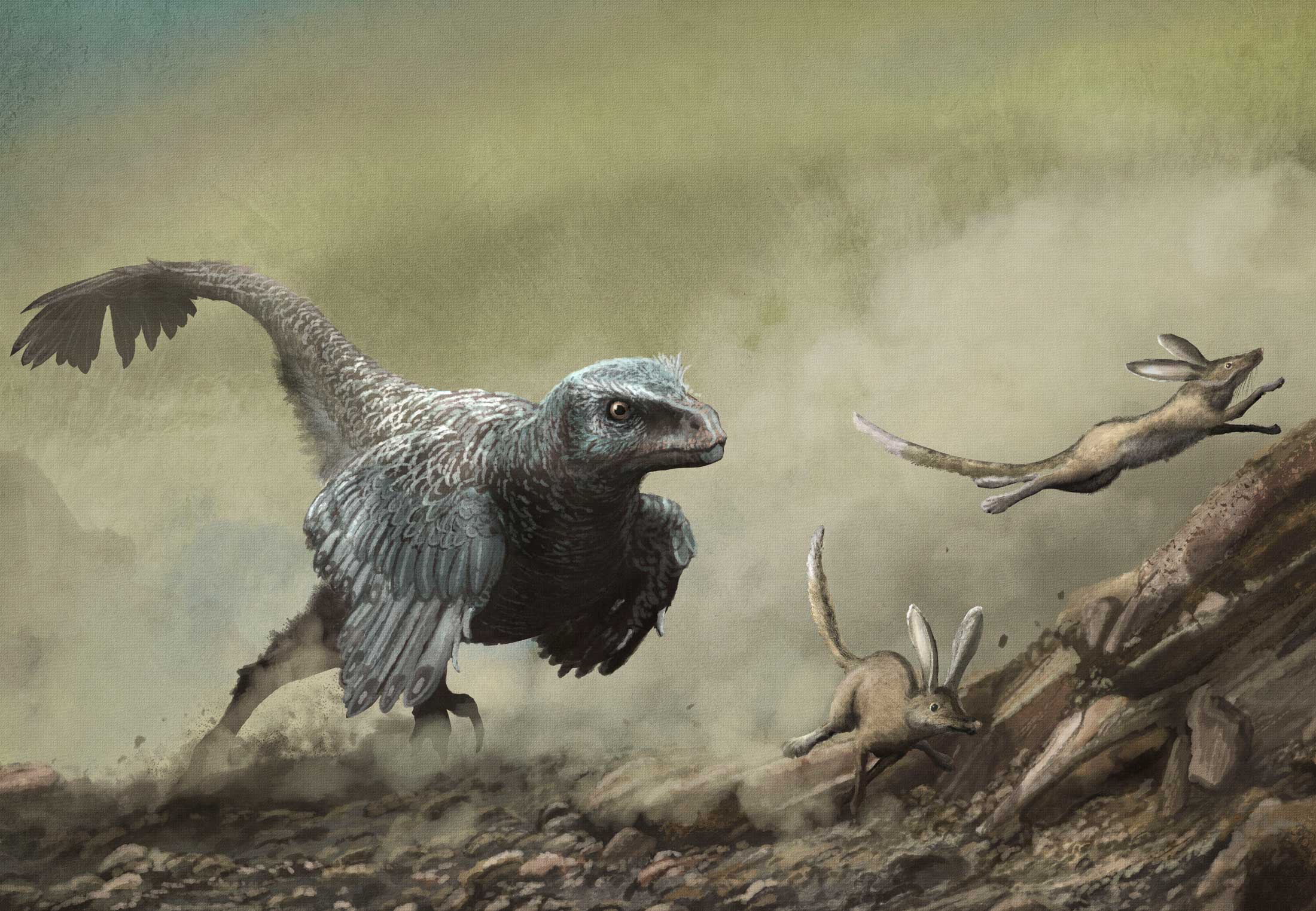 Vede Raptor Velociraptor Den Tapte Verden