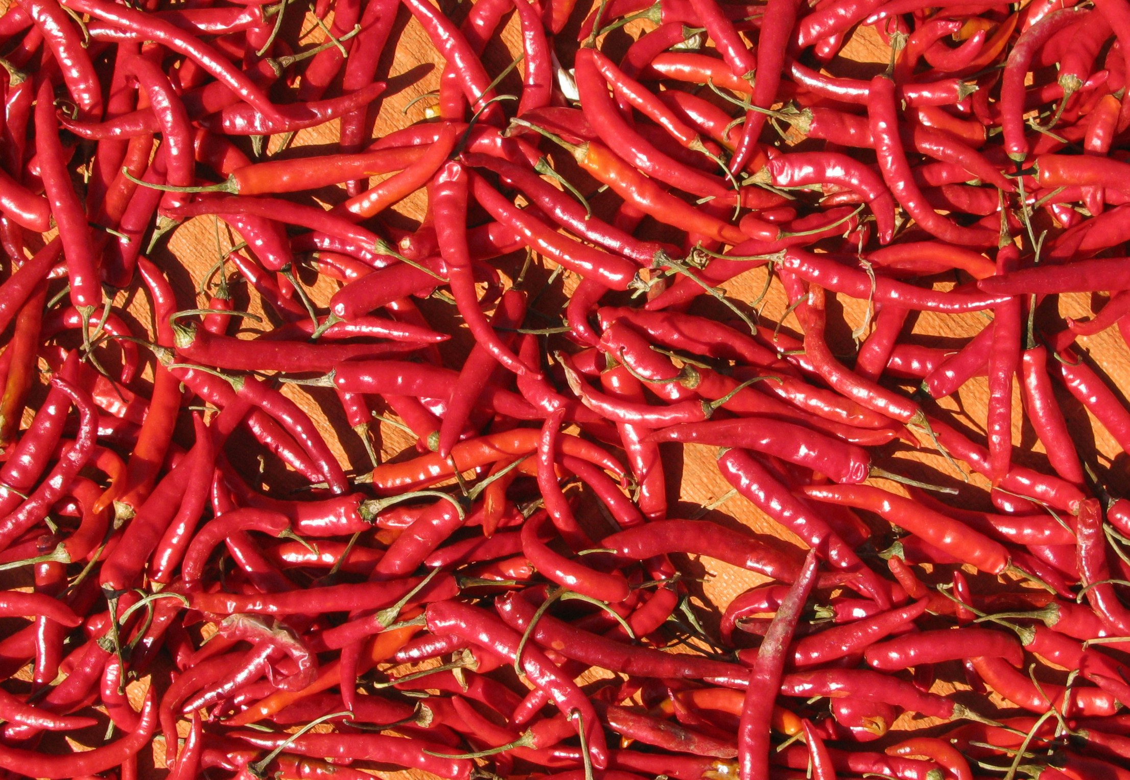 Hot pepper can relieve the pain of diabetics