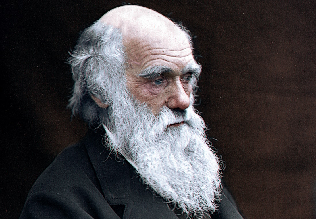 Charles Darwin forandret verden med forskningen sin illvit.no