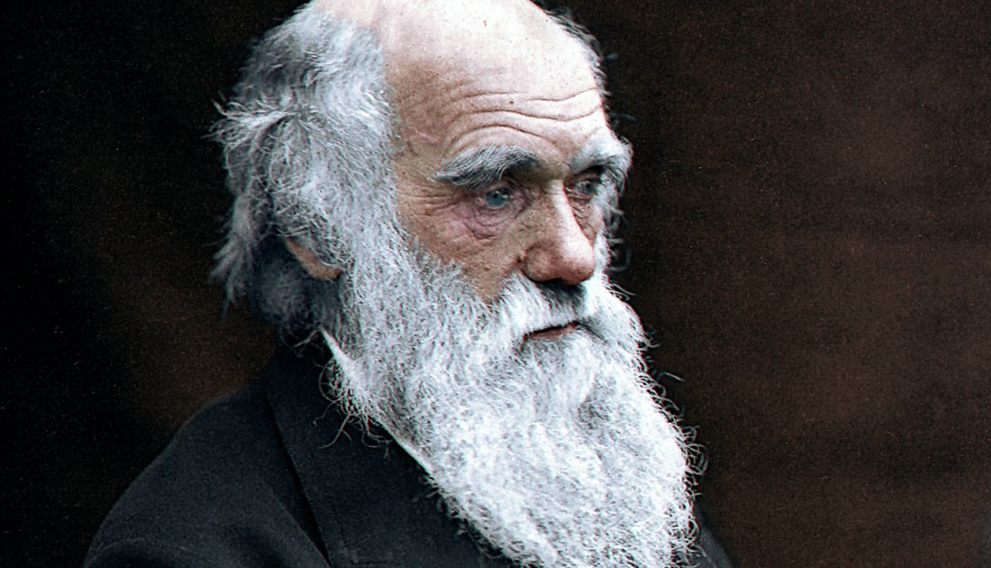 Charles Darwin forandret verden med forskningen sin illvit.no