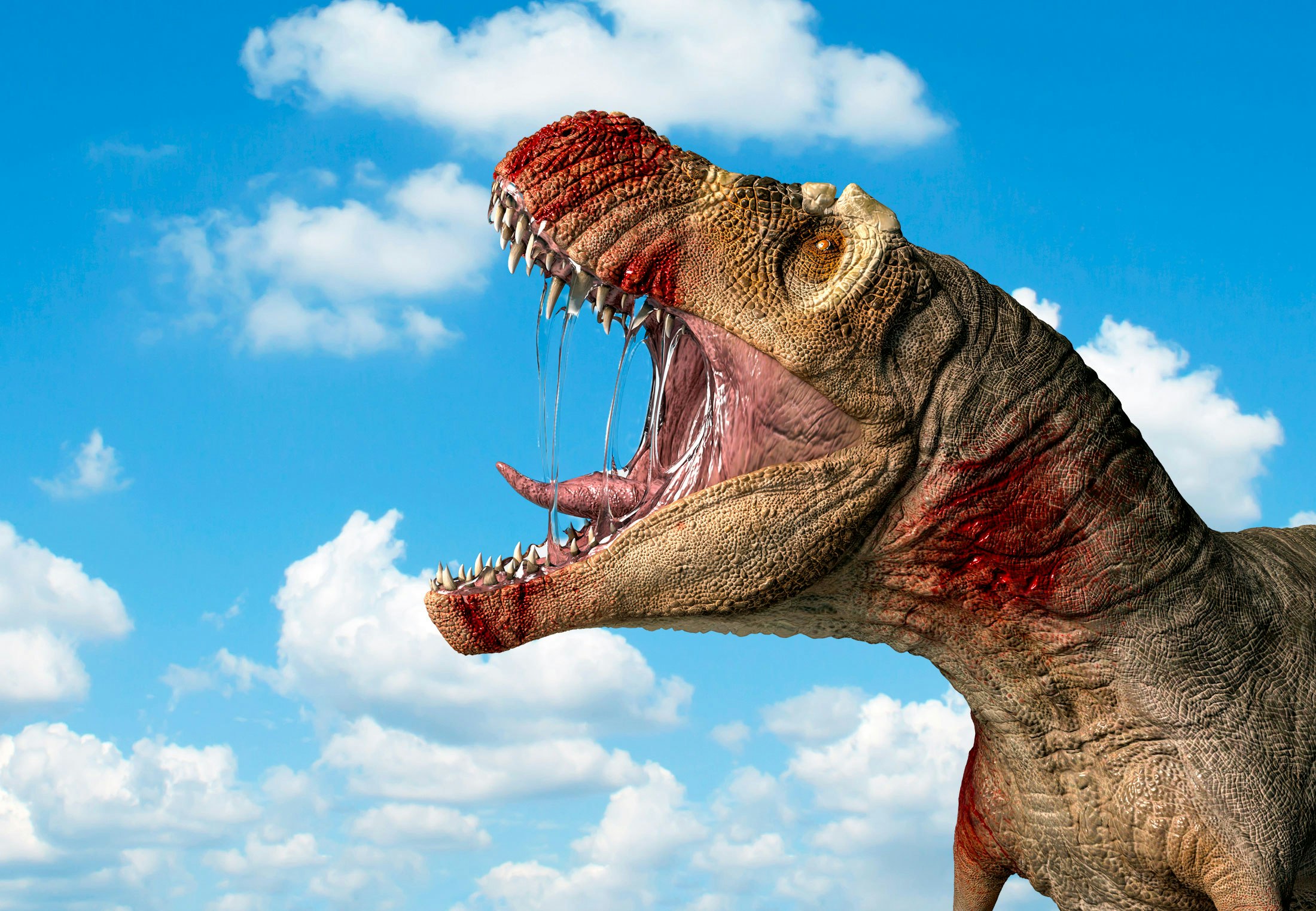 Wat was de grootste prooi die een T. rex kon doden? | wibnet.nl