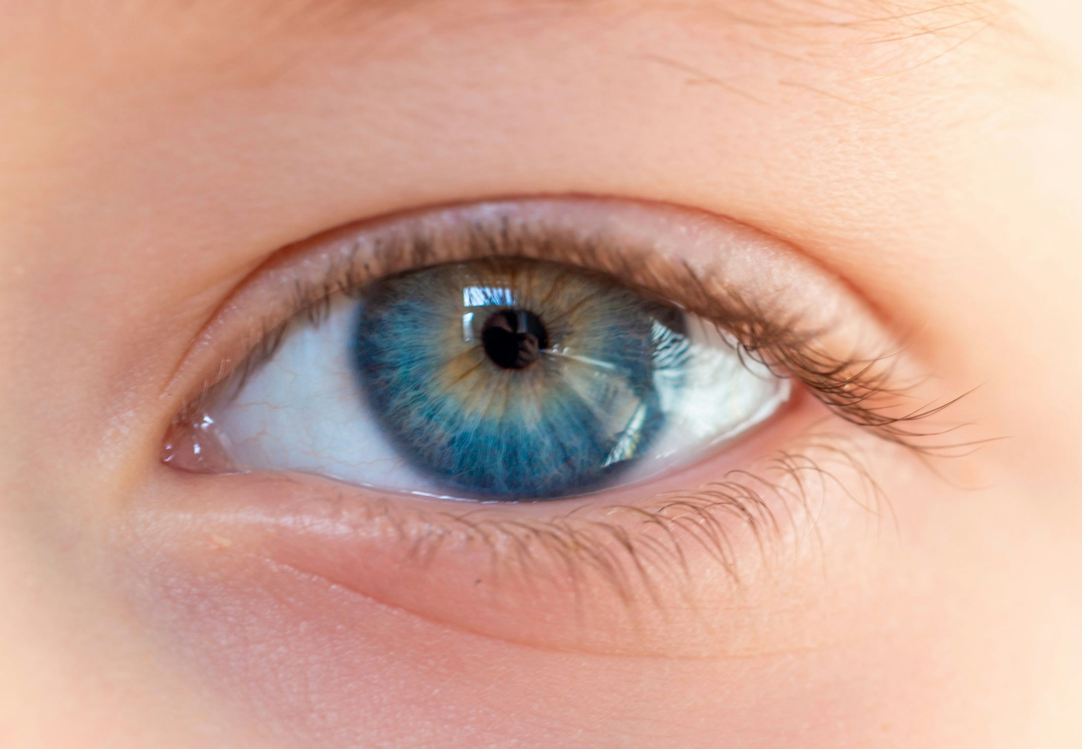 New research: You can tell by the eyes of children whether they have ADHD or autism