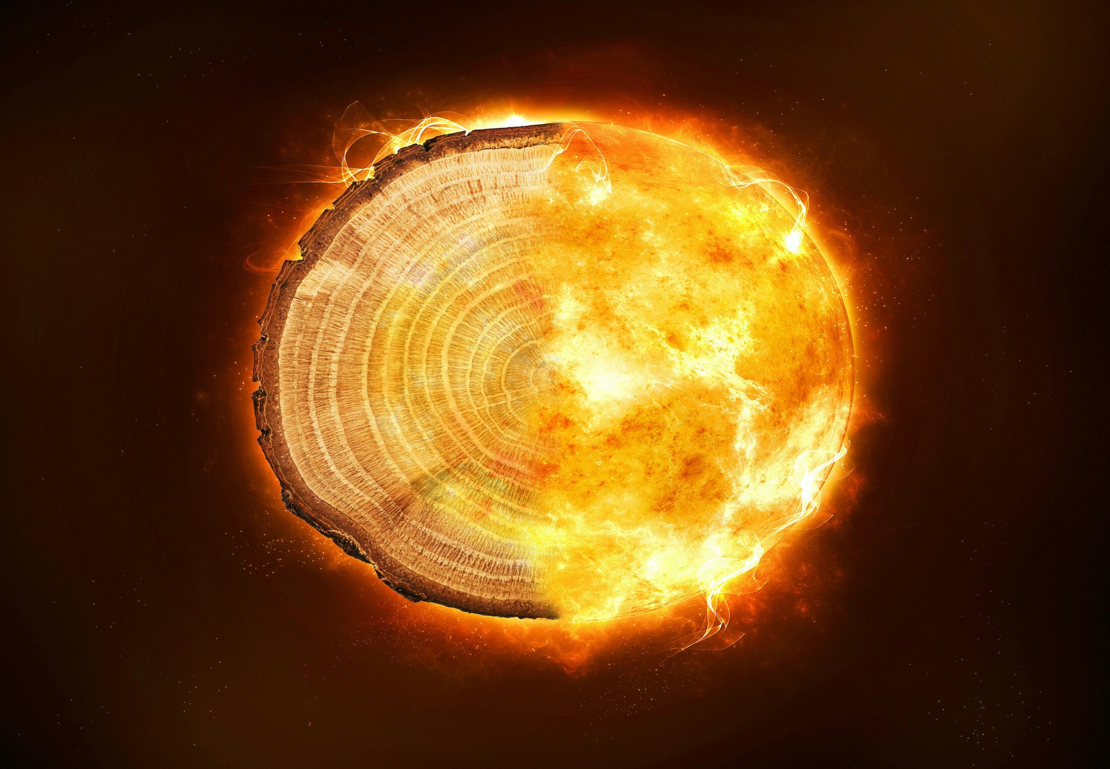 Annual tree rings reveal devastating radiation storms