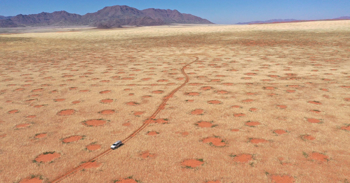 Scientists solve the mystery of the mysterious circles in the Namib Desert