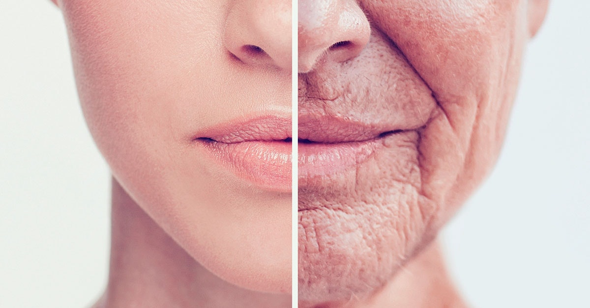 Live Longer: Small Changes to Sleep, Diet & Movement Live Longer: Small Changes to Sleep, Diet & Movement