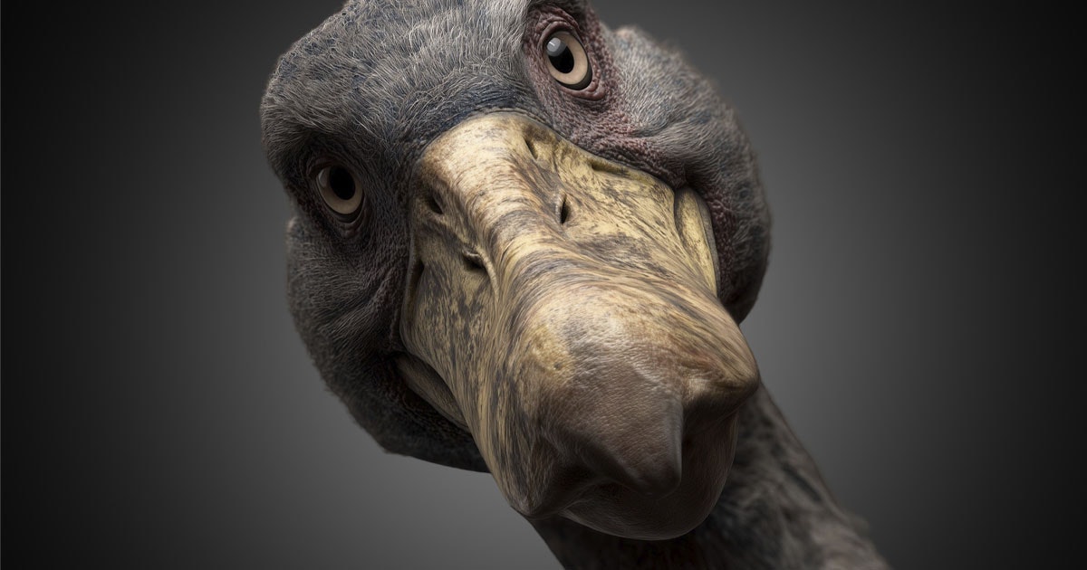 5 uitgestorven dieren die onderzoekers weer tot leven willen wekken