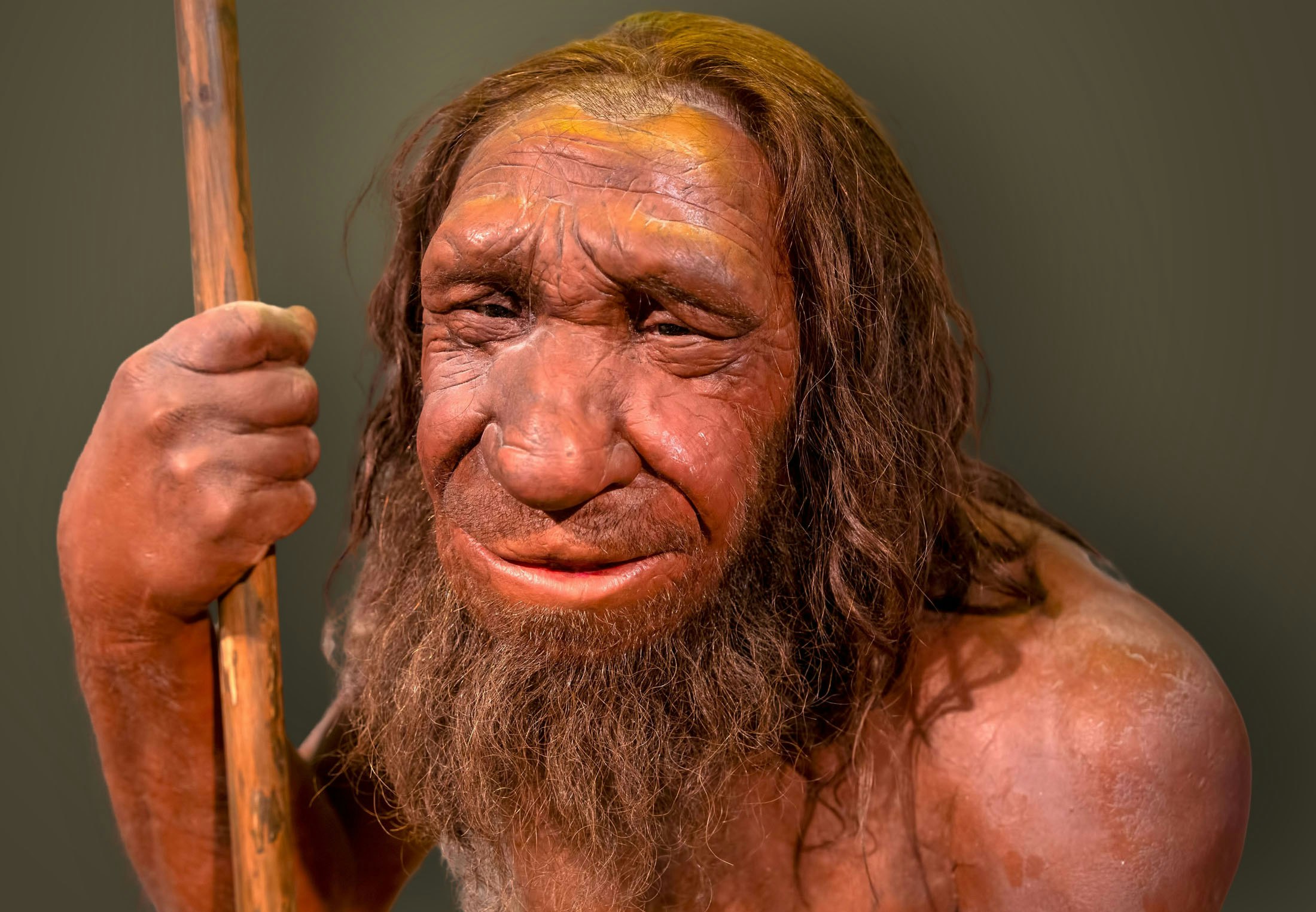 100-Year-Old Discovery Reveals Surprising Neanderthal Custom