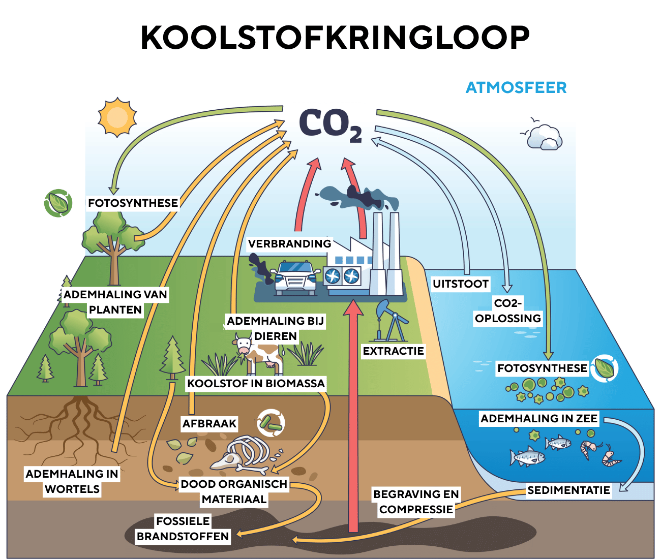 from CO2おまとめ Wat is CO2 (kooldioxide)? | wibnet.nl