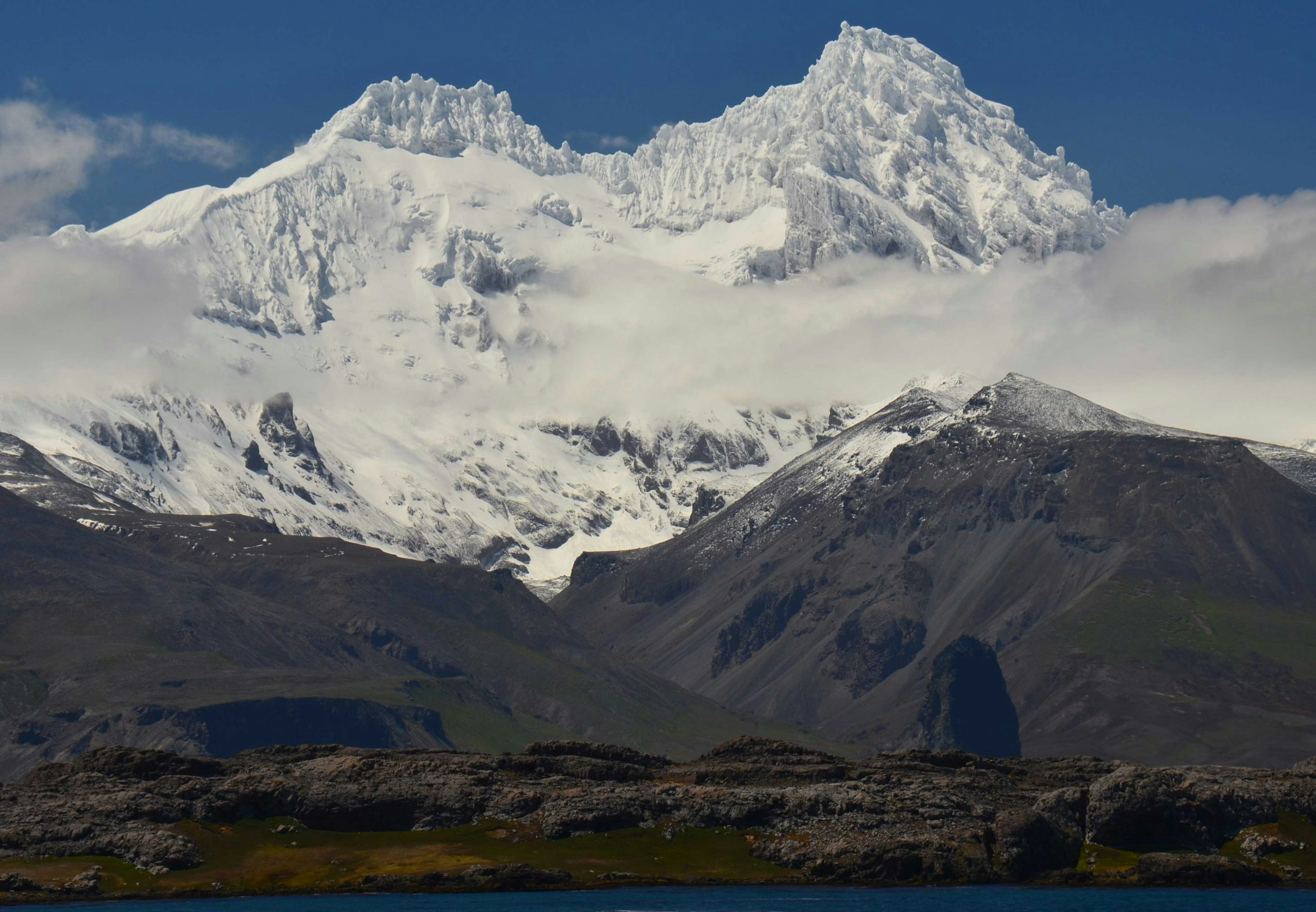 2000 kilometer ten noorden van Antarctica zwerft een mysterieuze groep dieren rond. Nu hebben onderz
