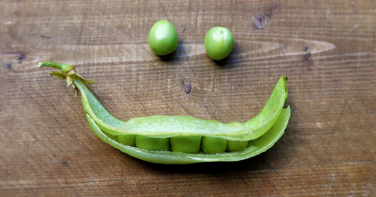 Wetenschappers: Bonen en bacteriën hebben bewustzijn | wibnet.nl