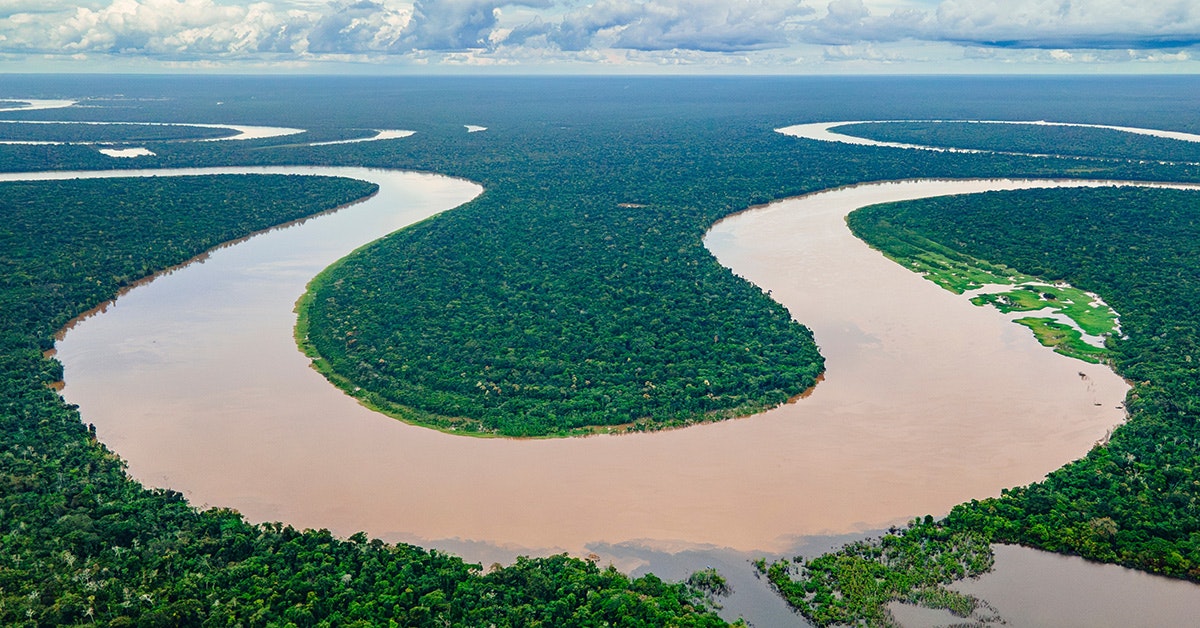Amazoneregenwoud stoot mogelijk in 2050 al meer CO₂ uit dan het opneemt ...