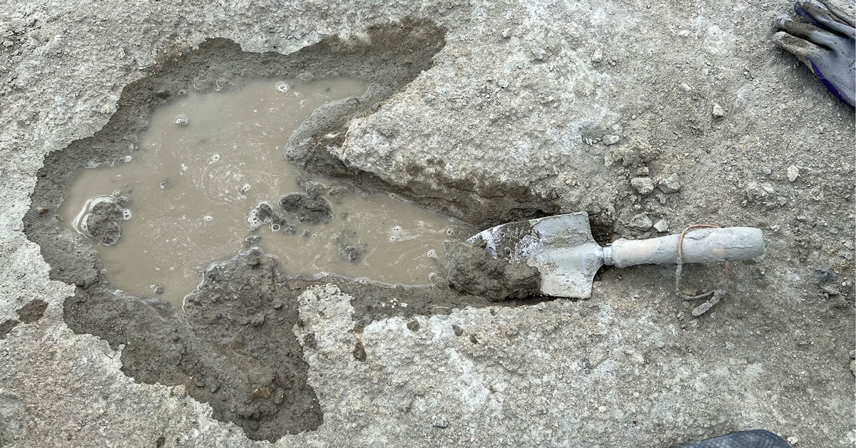 Paleontologen vinden 200 voetafdrukken van dinosauriërs in Engeland ...