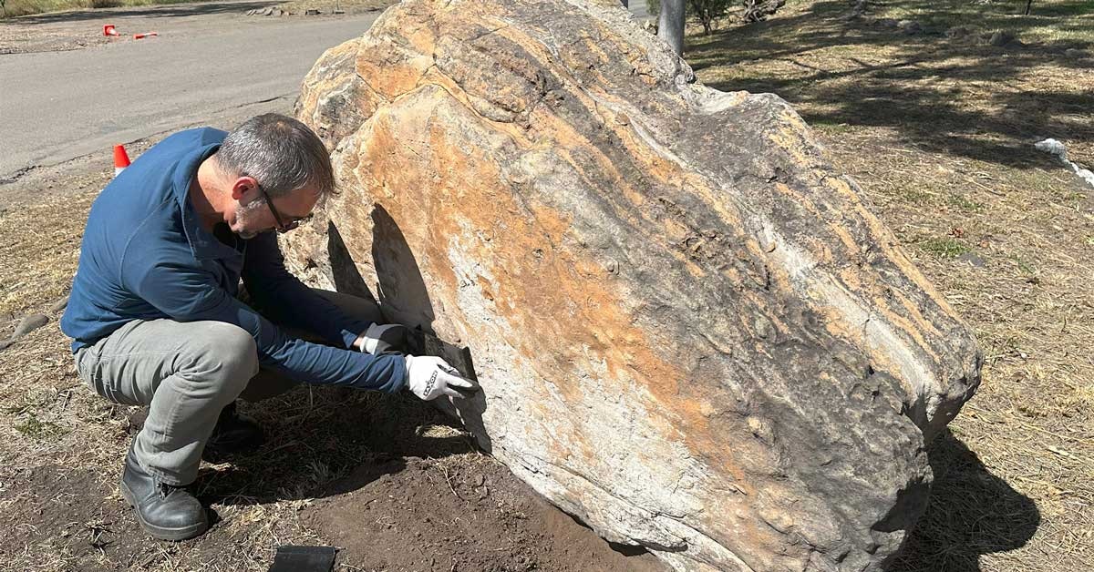 Dinosaur Discoveries Unearthed in Australian Schoolyard and Parking Lot: Traces of 47 Dinosaurs Uncovered