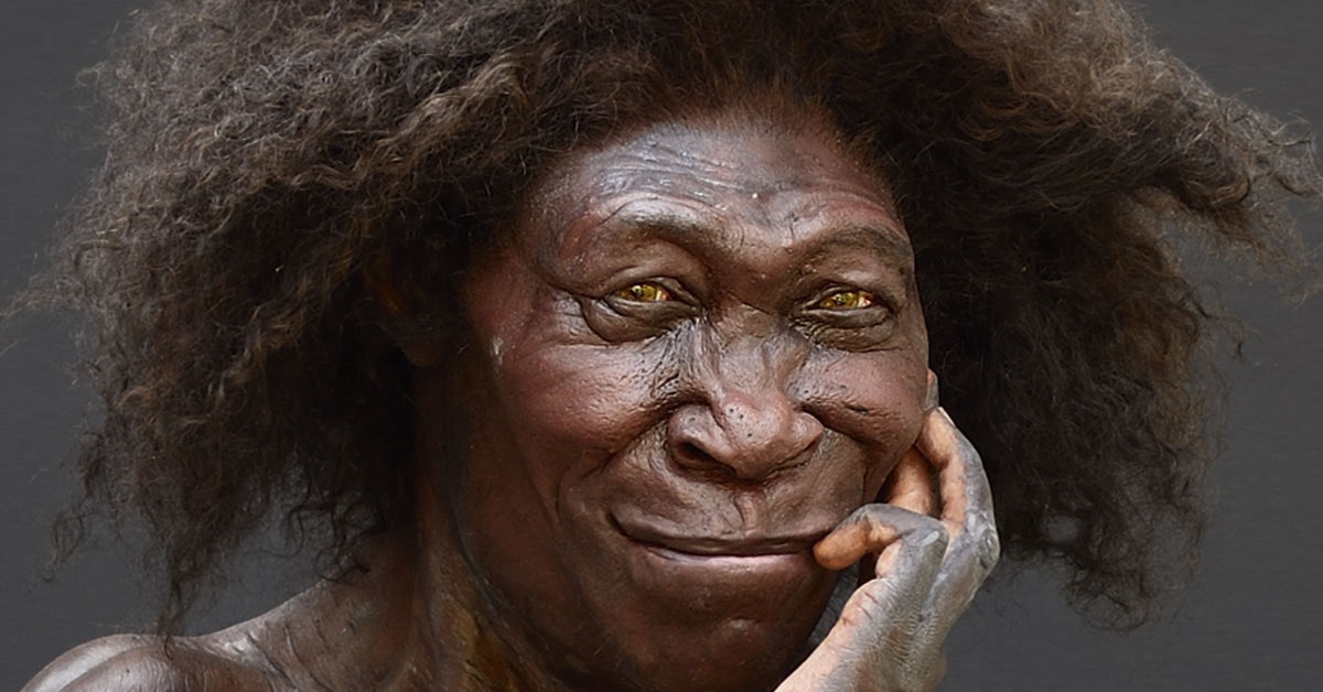 One prehistoric species made us human | scienceillustrated.com