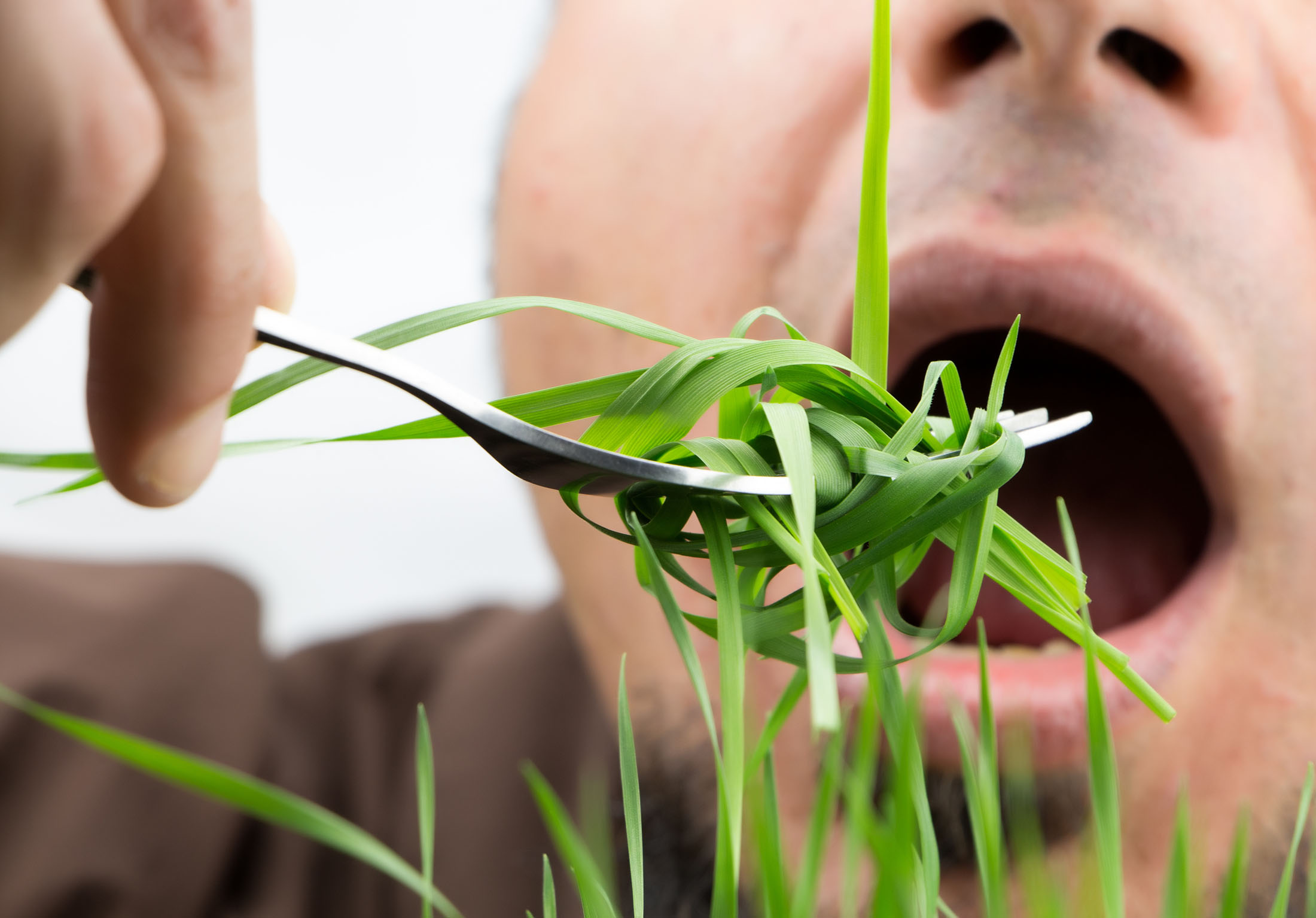 Ешьте зелень. Eating Flowers. Plants eating athletes. Nanno eating Flowers.