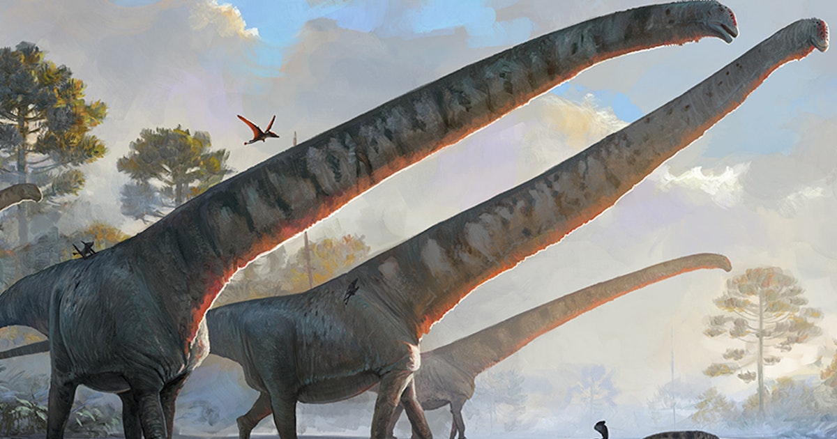 Il collo di dinosauro più lungo è stato scoperto fino ad oggi