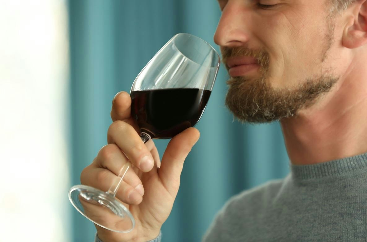 Vinkendskab for begyndere: Lær alt om rødvin | illvid.dk