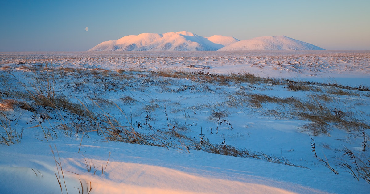 La guerra fredda nell’Artico: la minaccia climatica incombe sulla tundra russa La guerra fredda nell’Artico: la minaccia climatica incombe sulla tundra russa