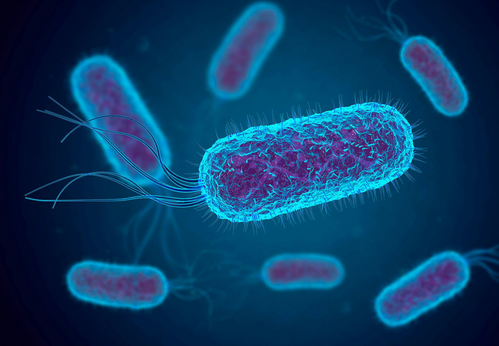 La bactérie E. coli génère de l’électricité à partir des métaux lourds présents dans les eaux usées