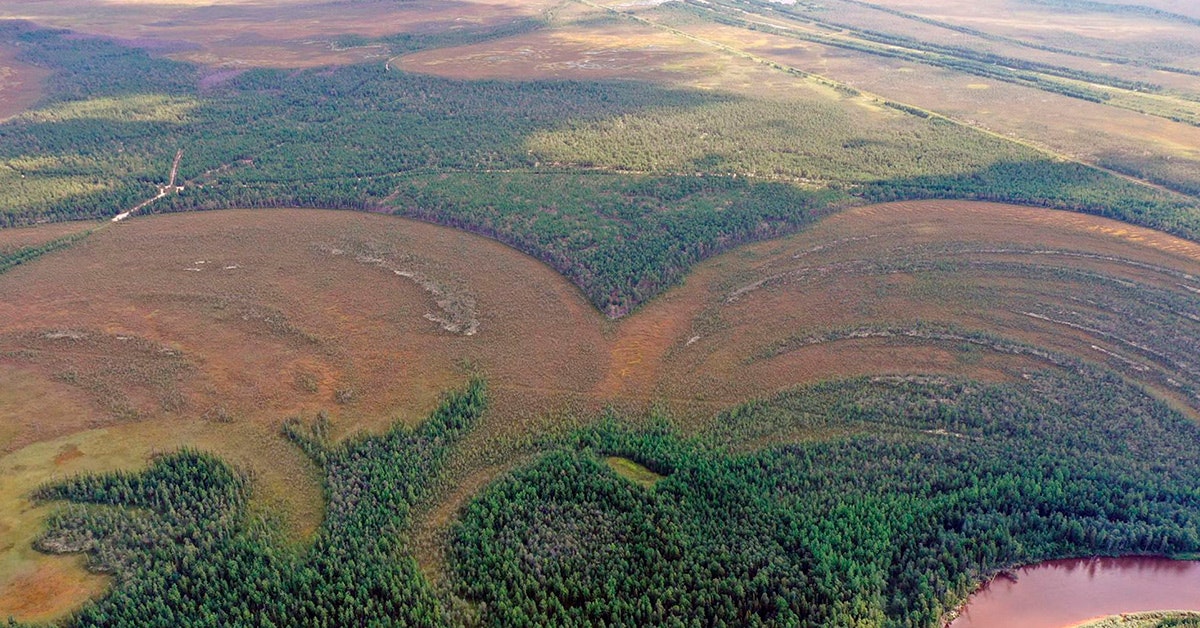 Verdens ældst kendte: 8000 år gammel fæstning opdaget i Sibirien ...