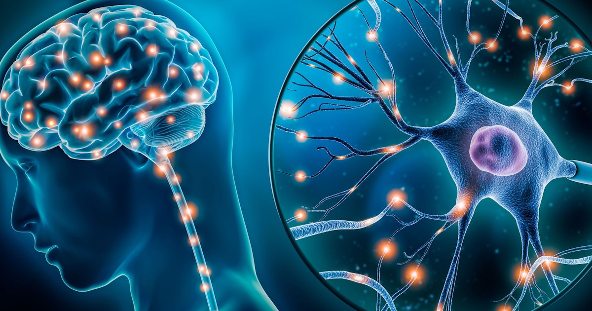 Therefore, the brain has difficulty counting beyond four Therefore, the brain has difficulty counting beyond four