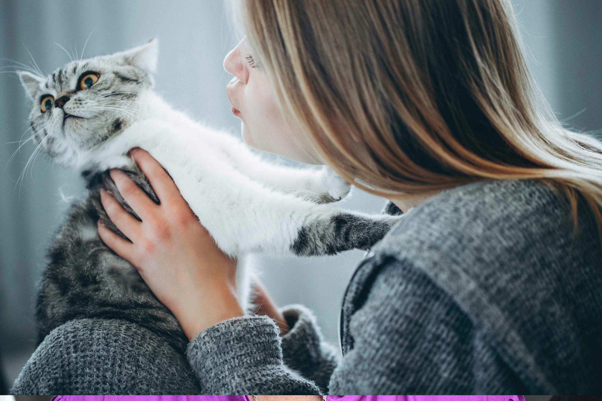 New Research Reveals Link Between Cat Ownership and Mental Illness