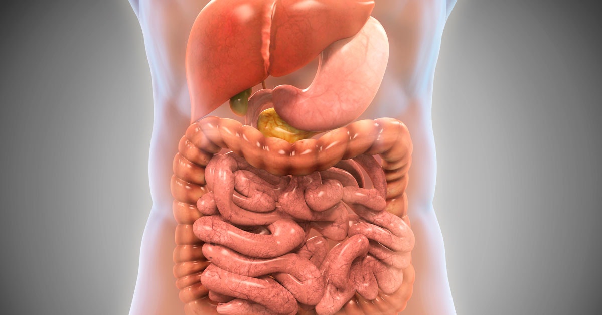 Extend your life by ten years by changing your diet Extend your life by ten years by changing your diet