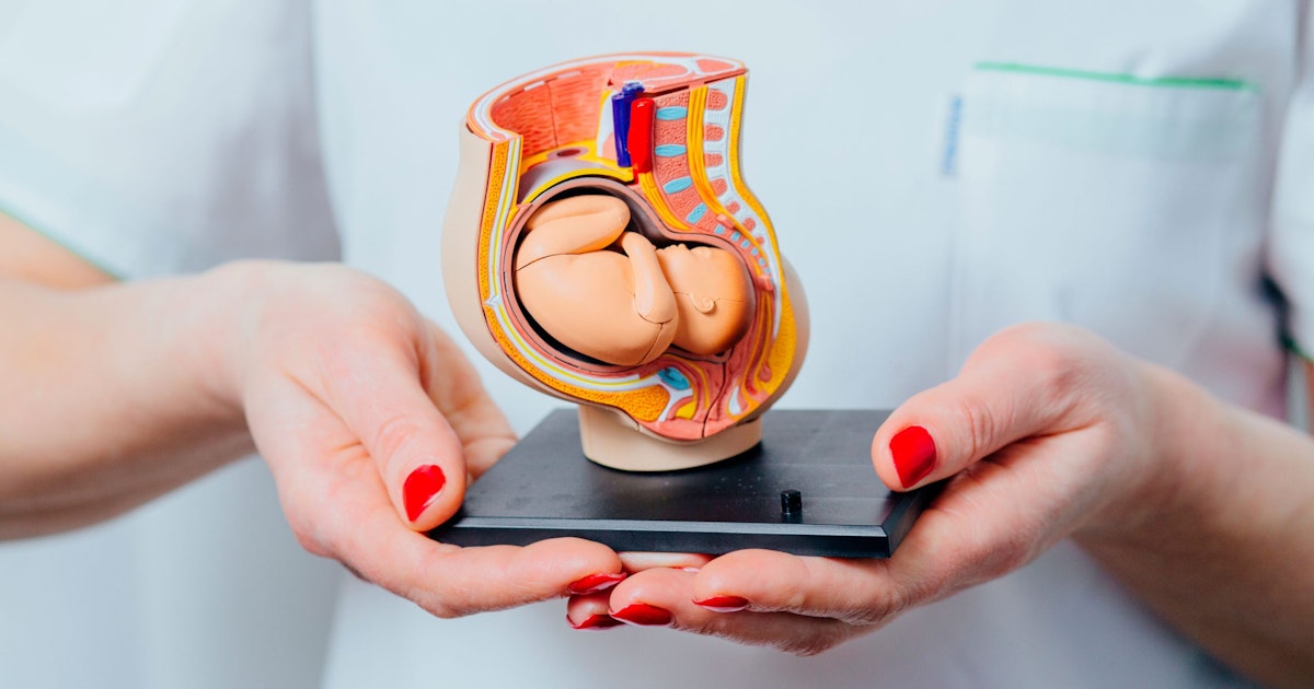 Una donna su cinque ha un problema sconosciuto con il proprio utero Una donna su cinque ha un problema sconosciuto con il proprio utero