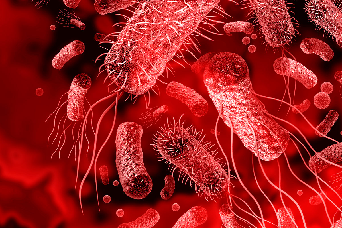 Penicillin: an accidental discovery saved 200 million lives