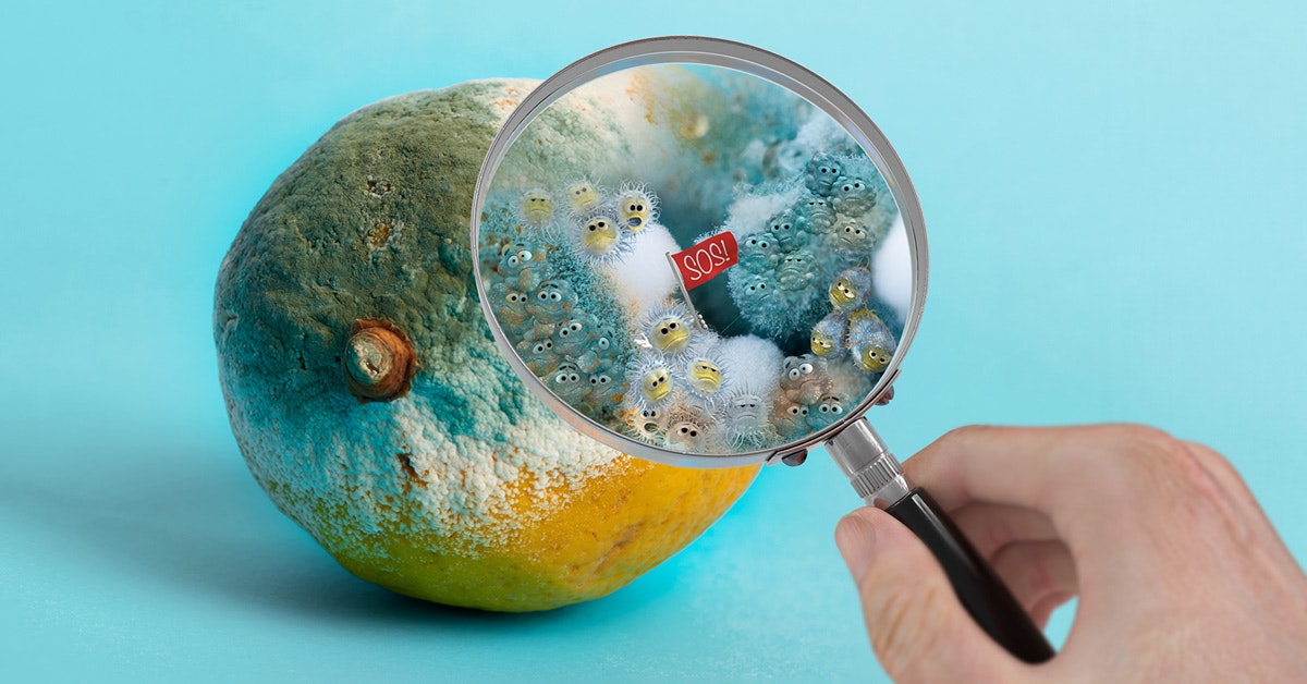 I microrganismi sulla Terra sono in pericolo I microrganismi sulla Terra sono in pericolo